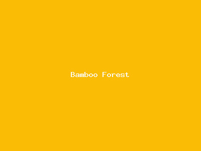 Bamboo Forest