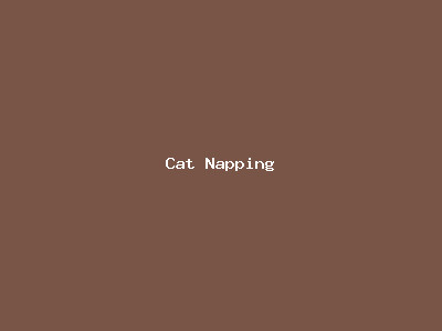 Cat Napping
